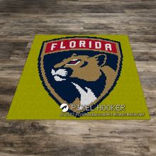Load image into Gallery viewer, Florida Panthers