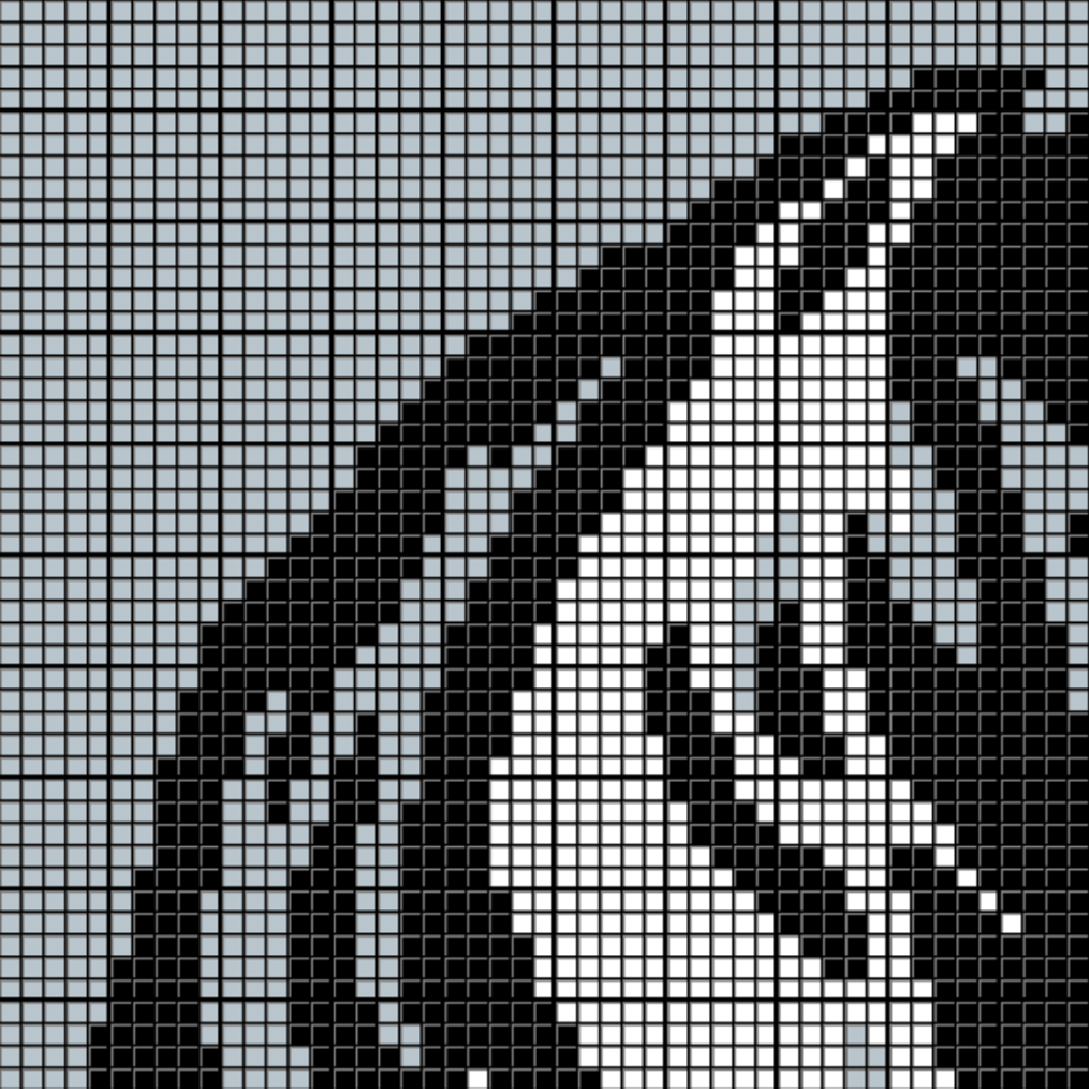 Dallas Cowboys Logo – PixelHooker