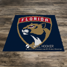 Load image into Gallery viewer, Florida Panthers