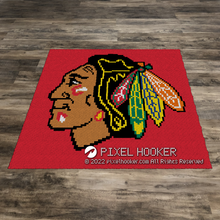 Load image into Gallery viewer, BlackHawks