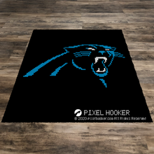 Load image into Gallery viewer, Carolina Panthers