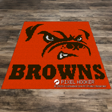 Load image into Gallery viewer, Cleveland Browns