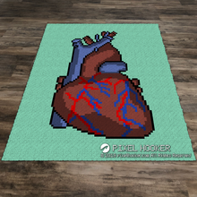 Load image into Gallery viewer, Human Heart
