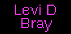 Levi D Bray