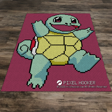 Load image into Gallery viewer, Squirtle