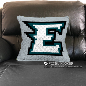 Philadelphia Eagles Blanket and Pillow