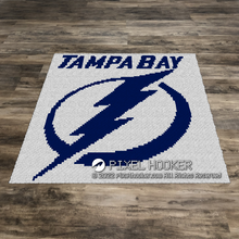 Load image into Gallery viewer, Tampa Bay Older Logo